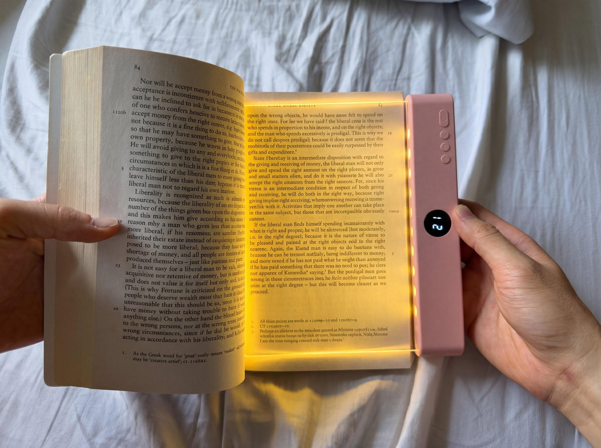 The Leafveil Reading Light