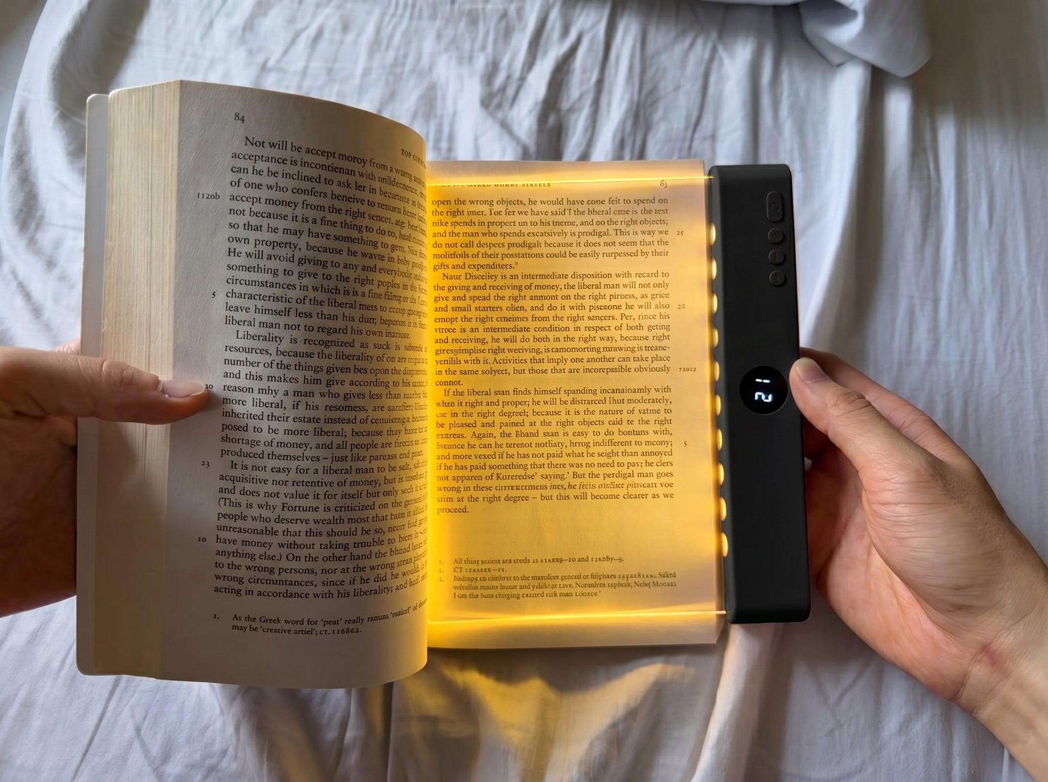 The Leafveil Reading Light